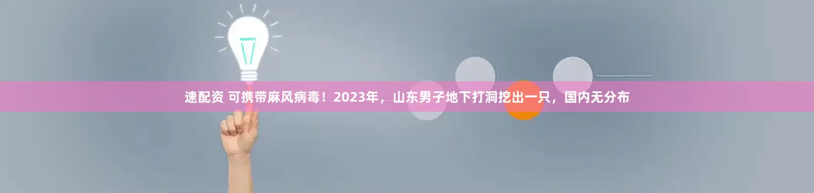 速配资 可携带麻风病毒！2023年，山东男子地下打洞挖出一只，国内无分布