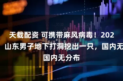 天载配资 可携带麻风病毒！2023年，山东男子地下打洞挖出一只，国内无分布