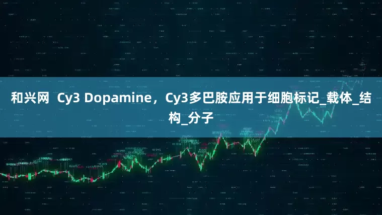 和兴网  Cy3 Dopamine，Cy3多巴胺应用于细胞标记_载体_结构_分子
