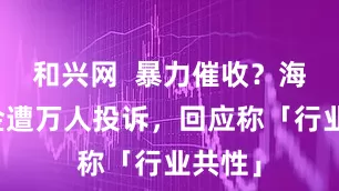和兴网  暴力催收？海尔消金遭万人投诉，回应称「行业共性」