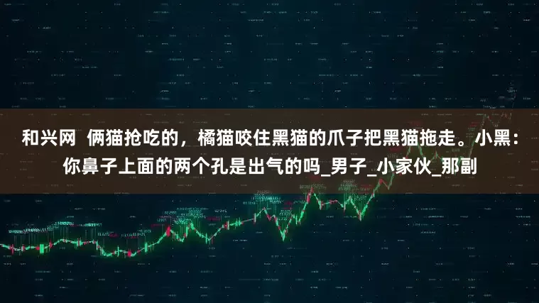 和兴网  俩猫抢吃的，橘猫咬住黑猫的爪子把黑猫拖走。小黑：你鼻子上面的两个孔是出气的吗_男子_小家伙_那副