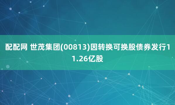 配配网 世茂集团(00813)因转换可换股债券发行11.26亿股